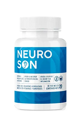 Neuroson